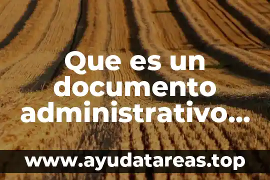 Que es un documento administrativo interno