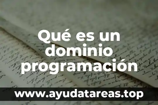 Qué es un dominio programación