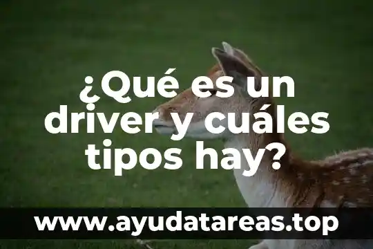 Que es la energia cuantos tipos hay de migracion 8 ¿Qué es un driver y cuáles tipos hay?