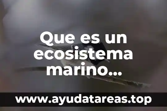 Que es un logotipo resumen 6 Que es un ecosistema marino resumen