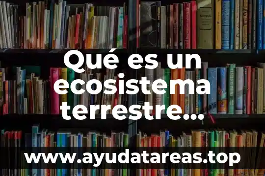 Qué es flujo de energía en el ecosistema 3 Qué es un ecosistema terrestre Yahoo