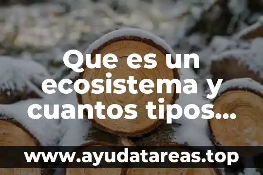 Que es un ecosistema y cuantos tipos hay en mexico