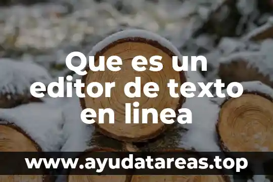 Que es un editor de texto en linea