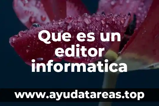 Que es ser tecnico en informatica 4 Que es un editor informatica