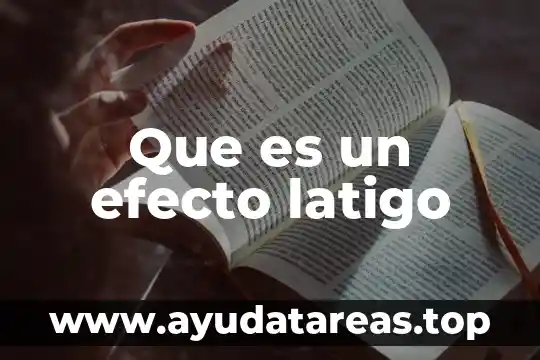 Que es el animal martucha 4 Que es un efecto latigo