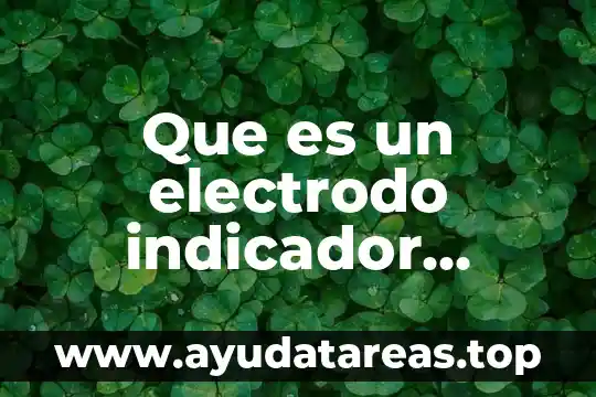 Que es las reacciones redox y la luz resumidos nombres 4 Que es un electrodo indicador redox
