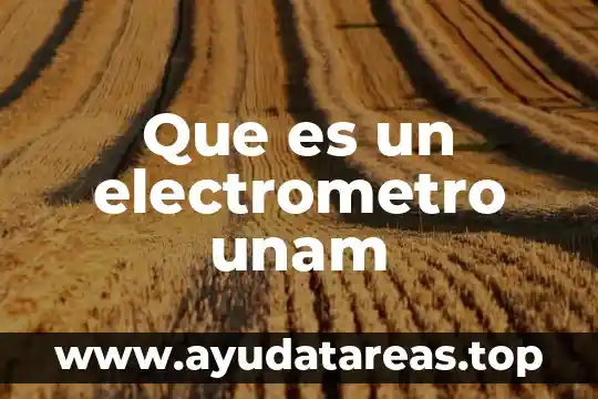 Que es un electrometro unam