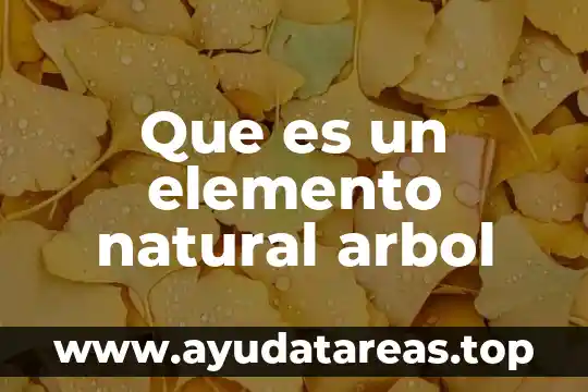 Qué es la filosofía médica 5 Que es un elemento natural arbol