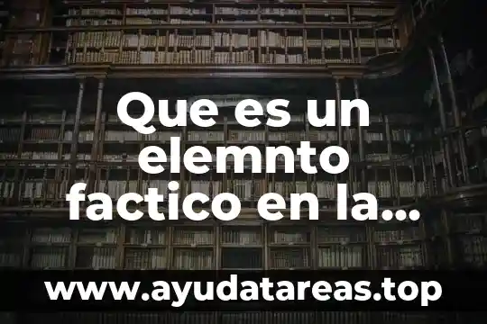 Que es un elemnto factico en la terioria del caso