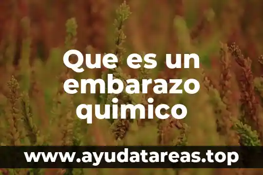 Que es un embarazo quimico