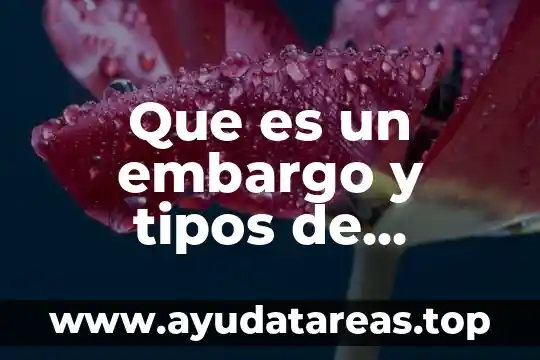 Que es el embargo en materia fiscal 5 Que es un embargo y tipos de embargo