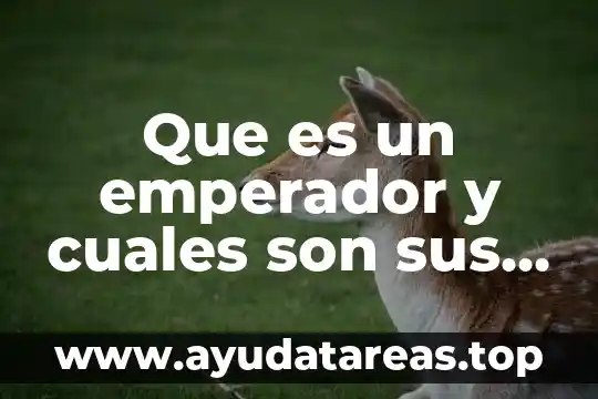 Que es un emperador y cuales son sus caracteristicas