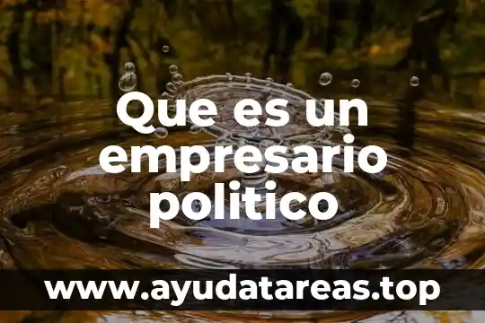 Que es un empresario politico