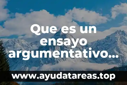 Que es un ensayo argumentativo definicion