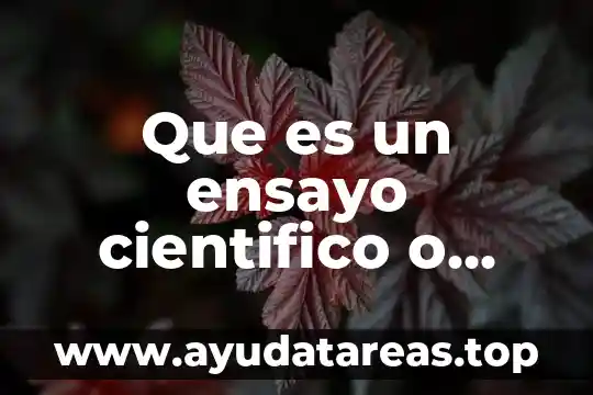 Que es justificado en un ensayo 7 Que es un ensayo cientifico o academico