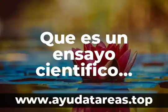 Que es un ensayo cientifico segun autores