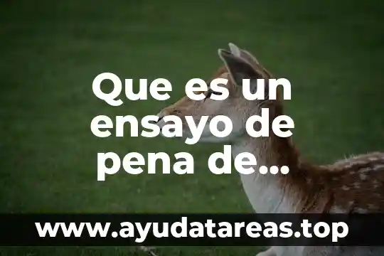 Ensayo sobre que es la inflacion 5 Que es un ensayo de pena de muerte