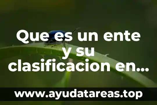 Que es un ente y su clasificacion en filosofia