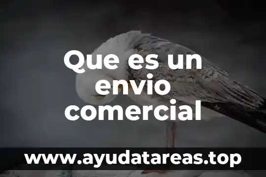 Que es un envio comercial