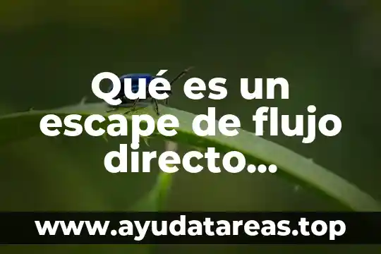 Qué es un escape de flujo directo Outlander