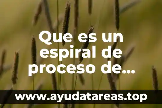 Que es el conocimiento empirico y un ejemplo 5 Que es un espiral de proceso de conocimiento
