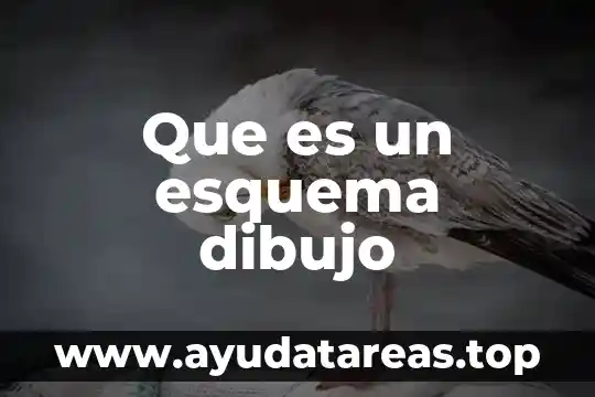 Que es un esquema dibujo