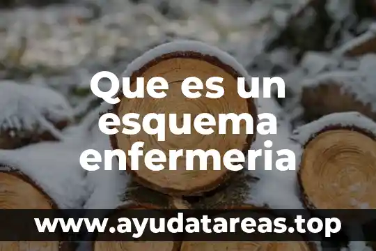 Que es un esquema enfermeria