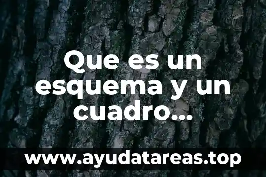 Que es un esquema y un cuadro sinoptico