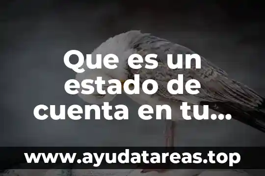 Que es tepalcate significado 7 Que es un estado de cuenta en tu banco