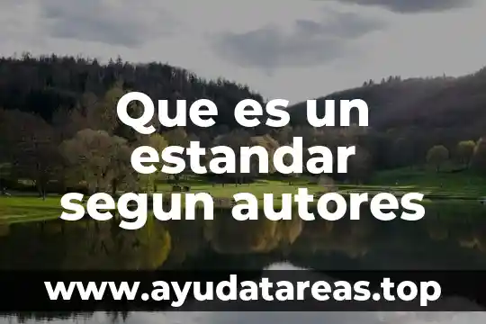 Que es un estandar segun autores