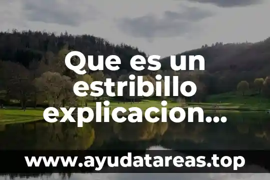 Que es un terrario explicacion para niños de primaria 3 Que es un estribillo explicacion para niños