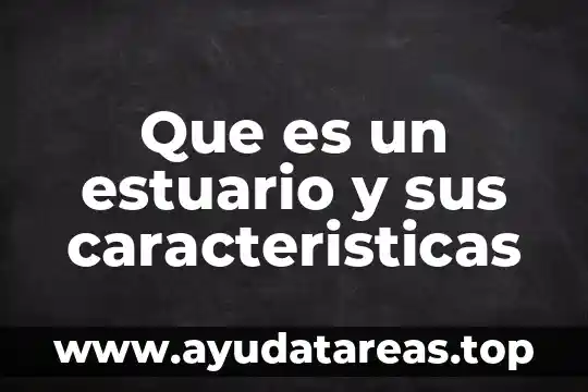Que es un estuario y sus caracteristicas