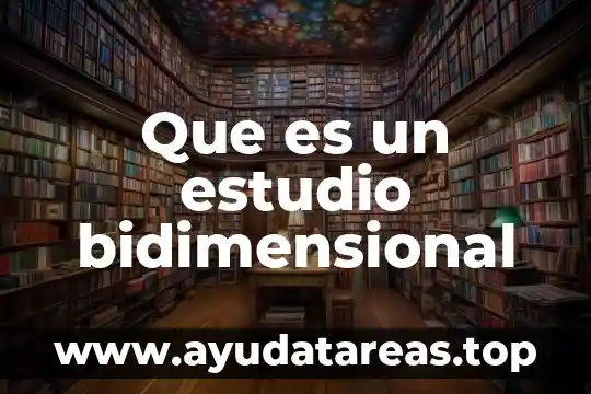 Que es un estudio bidimensional