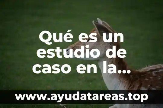 Qué es un estudio de caso en la investigación