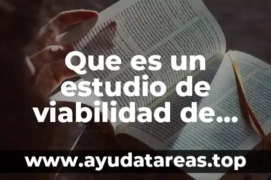 Que es un estudio de viabilidad de una empresa