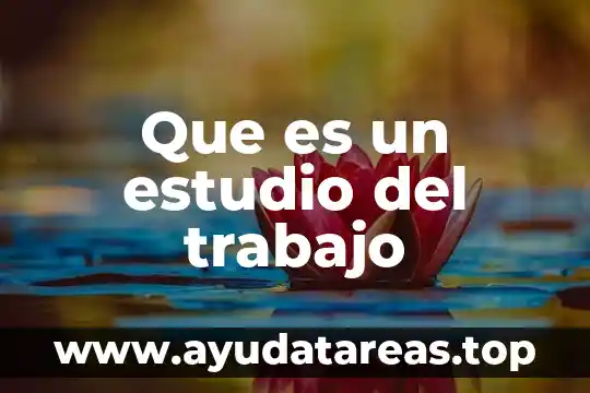 Que es el trabajo de campo en la arqueologia 5 Que es un estudio del trabajo