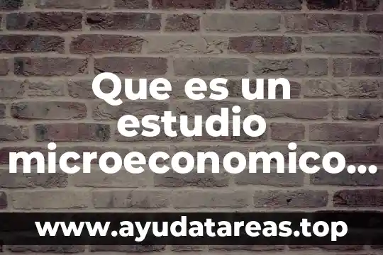 Que es un estudio microeconomico de un estado