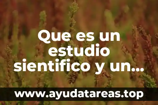 Que es revit estudio 5 Que es un estudio sientifico y un ejemplo