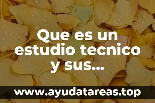 Toma de la muestra que es características y tipos 5 Que es un estudio tecnico y sus caracteristicas