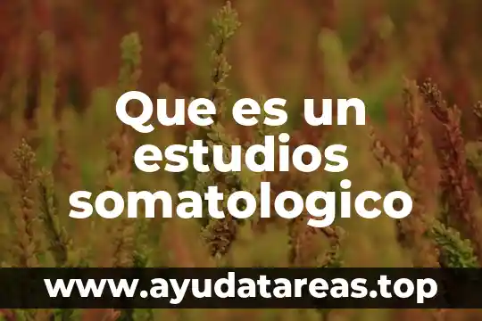 Estudios de caso que es 4 Que es un estudios somatologico