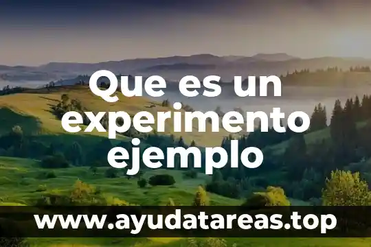 Que es un experimento ejemplo