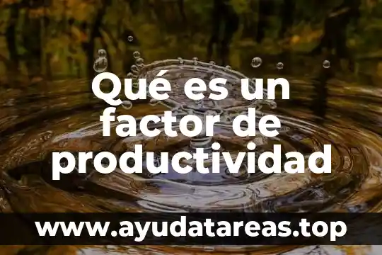 Qué es un factor de productividad
