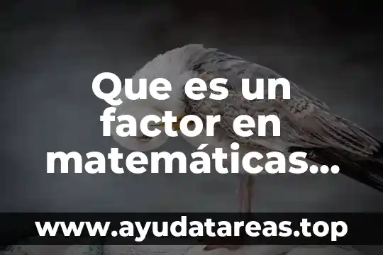 Que es el color para niños 5 Que es un factor en matemáticas para niños