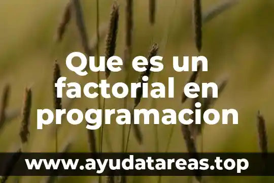 Que es un factorial en programacion