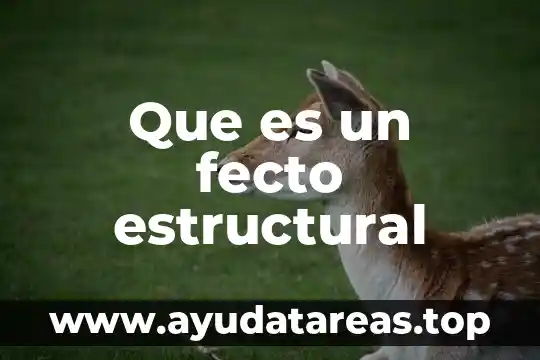 Que es un fecto estructural