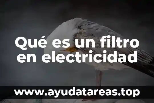 Deflector filtro de agua que es 6 Qué es un filtro en electricidad
