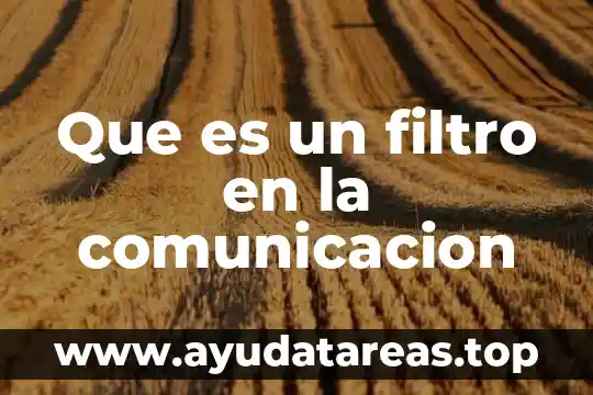 Deflector filtro de agua que es 5 Que es un filtro en la comunicacion