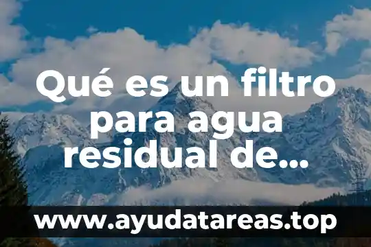Placa inmunoensayo cromato grafico que es 5 Qué es un filtro para agua residual de agua