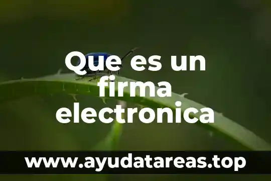 Que es la firma electronica de una empresa 3 Que es un firma electronica