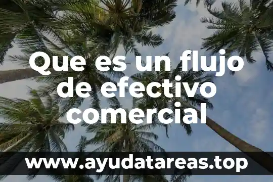 Que es un flujo de efectivo comercial
